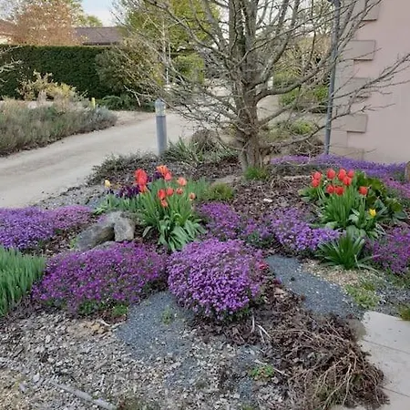 Charmante Maison De - Domaine Les Forges Holiday home *