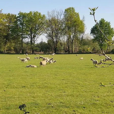 Holiday home Charmante Maison De - Domaine Les Forges