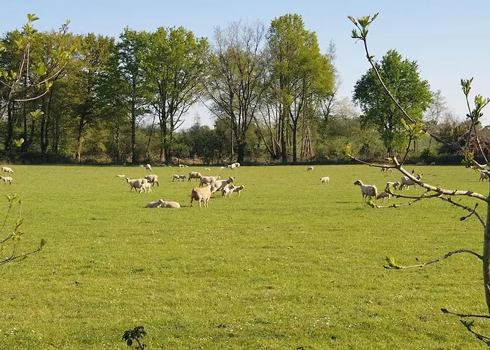 Сasa de vacaciones Charmante Maison De - Domaine Les Forges
